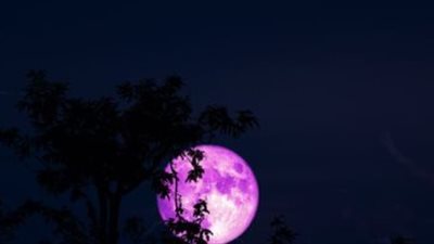 القمر الوردي يزين السماء السبت المقبل ويكتمل الاثنين