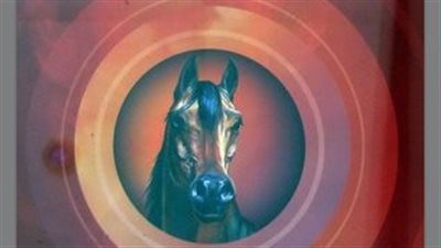 اقرأ في رمضان.. الأصمعي يقدم أبرز مؤلفاته عن الخيل