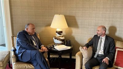 على هامش زيارته لواشنطن.. شكري يتبادل الرؤى مع مبعوث أمريكا إلى إيران