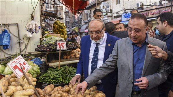 محافظ الإسكندرية