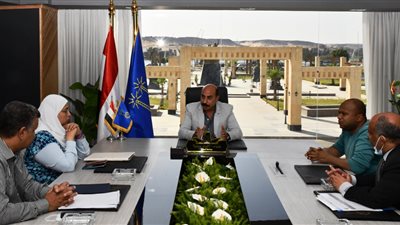 محافظ أسوان يعلن افتتاح 3 مستشفيات قريبًا.. وحلول عاجلة لمواجهة نقص أسرة العناية