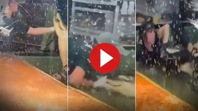 شاهد لحظة هجوم تمساح والتهام يد امرأة أقدمت على إطعامه| فيديو