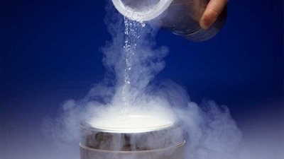 الانخفاض الكبير في النيتروجين يهدد نمو النباتات والحيوانات في أمريكا |دراسة