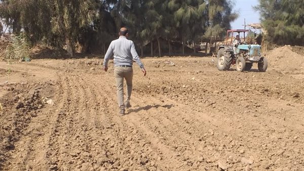 إعادة زراعة أراضي