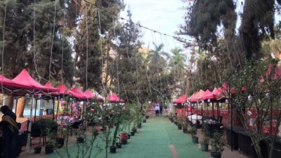 الزراعة: إقامة خيم رمضانية في حديقة الأورمان بداية من الغد