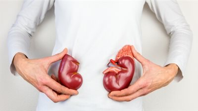 منها الخضراوات الورقية الداكنة والتفاح.. أهم الأطعمة للحفاظ على صحة الكلى