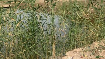 مصرع طفل سقط داخل حفرة بأرض فضاء بالمحلة | صور