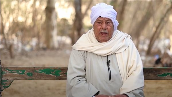 الدكتور حمدي طه -