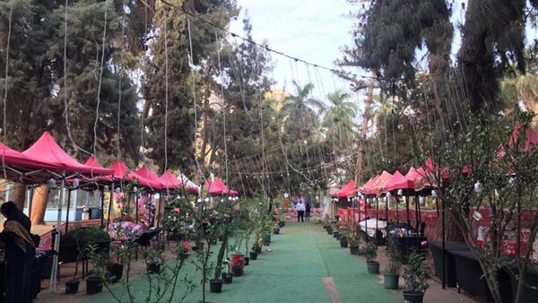 حديقة الأورمان في