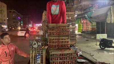 مجنونة يا قوطة.. الطماطم بـ 5 جنيهات ببورسعيد | صور وفيديو 