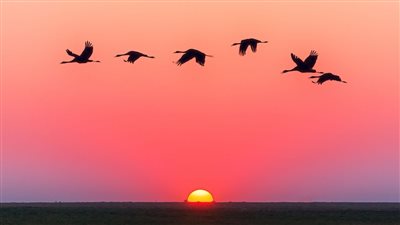 موعد أذان الفجر 17 رمضان 2022.. وأدعية مستجابة من القرآن والسنة