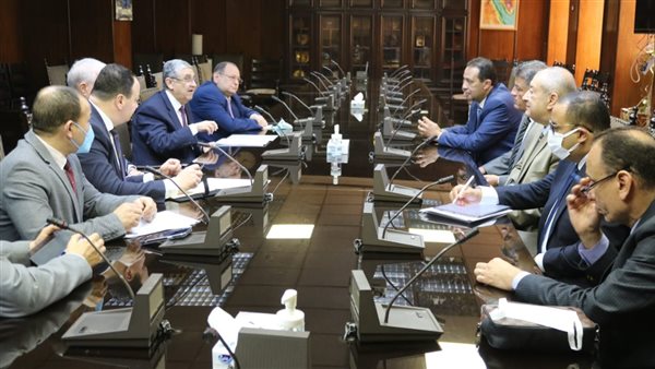 وزير الكهرباء