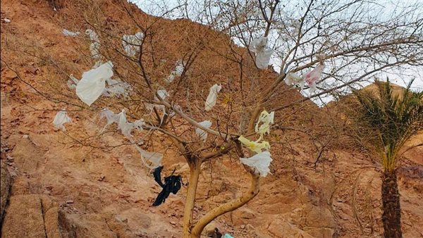 تأثير الأكياس البلاستيكية