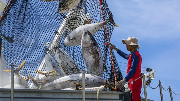 صيد الأسماك