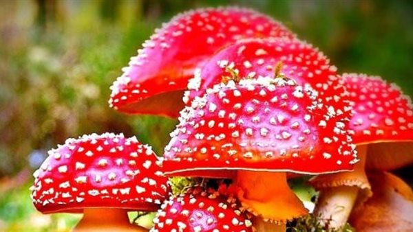 علاج الاكتئاب