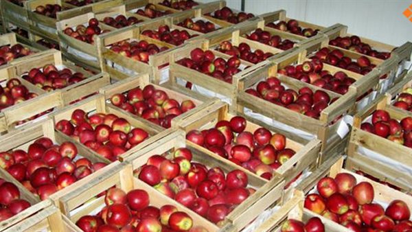 التفاح المستورد -