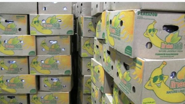 صناديق موز محشوة