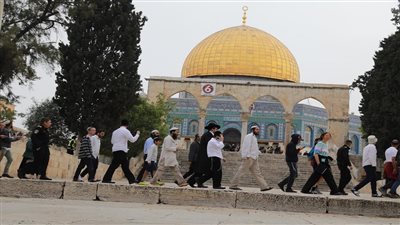 مستوطنون يقتحمون المسجد الأقصى في حماية قوات الاحتلال مجددًا