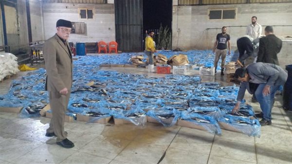 ضبط 3350 كيلو أسماك