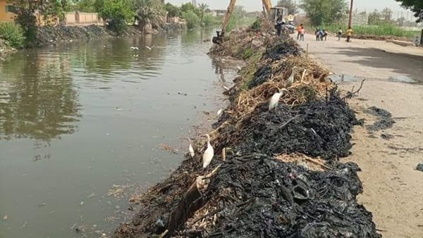 تطهير ترعة سري باشا