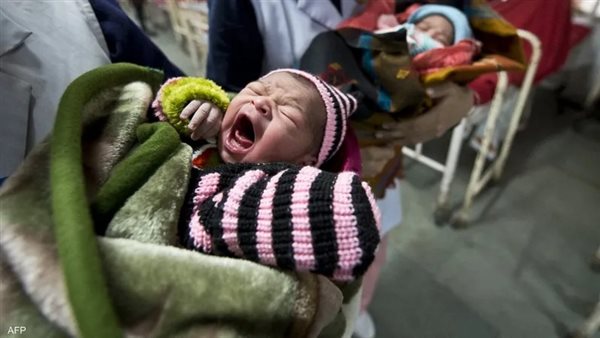 عدد المواليد