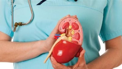 بعد ادعاء طبيب وصفات الشوربة العلاجية بديلًا للغسيل الكلوي.. استشاري: معلومات خاطئة لم تُذكر في العلم