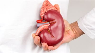 مزاعم بوجود وصفات علاجية بديلة عن الغسيل الكلوي.. استشاري: تسبب ثقبًا في المثانة