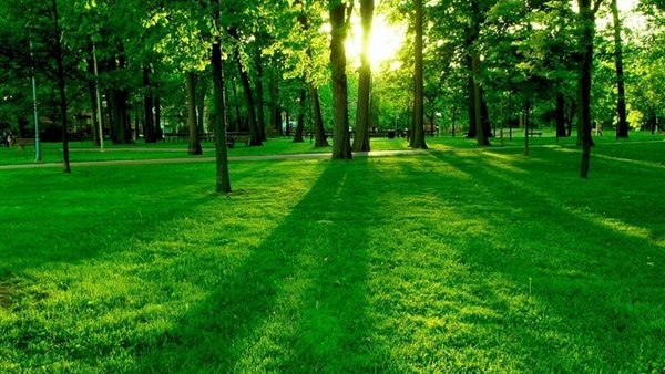 المناطق الخضراء 