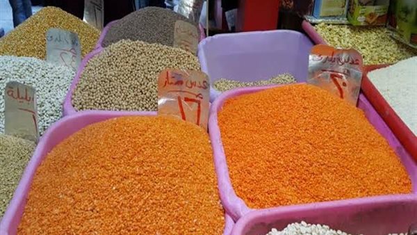 العدس - أرشيفية