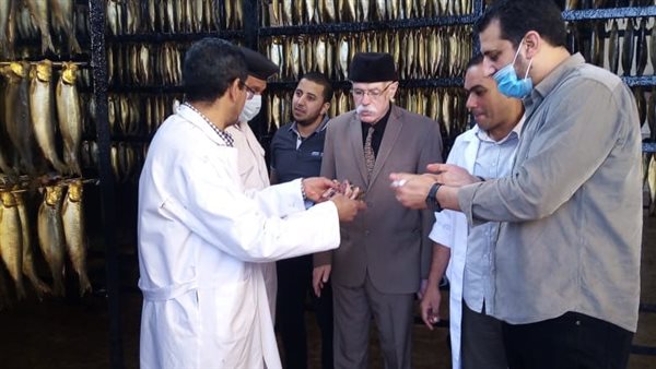 وكيل الطب البيطري