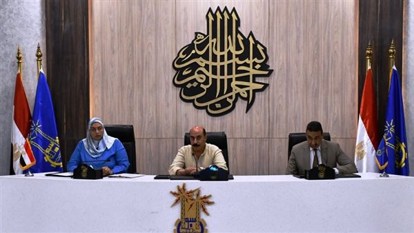 محافظ أسوان