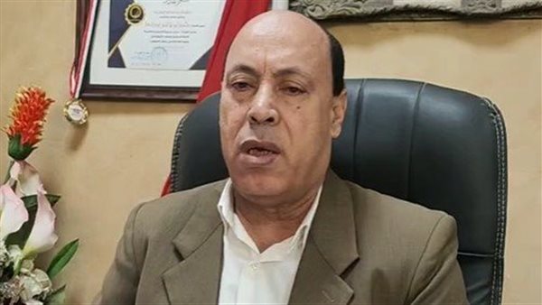 المهندس محمد ابو