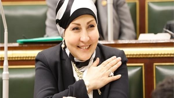 النائبة هالة أبو