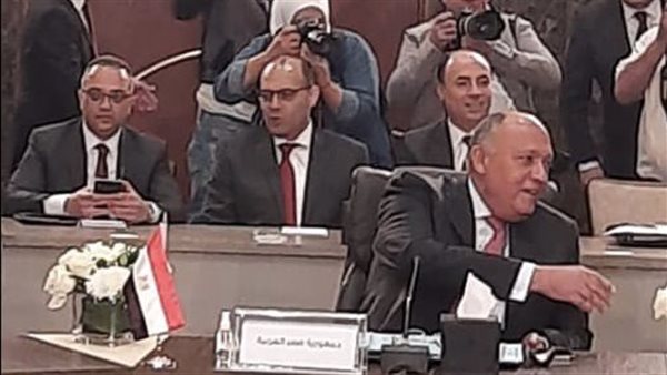 سامح شكري وزير الخارجية