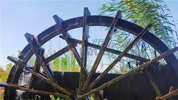 الفيوم.. تصوير: إيمان