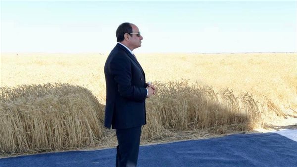 السيسي في توشكي