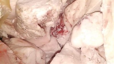 ضبط 715 کيلو کوارع فاسدة خلال حملة على المجازر بالغردقة | صور