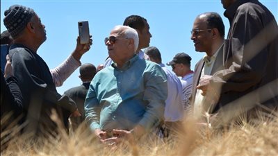 حوافز للمزارعين وجولات للمسئولين..جهود لنجاح موسم حصاد القمح ببورسعيد | صور