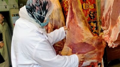 ضبط لحوم وأسماك غير صالحة للاستخدام الآدمي بالغربية | صور