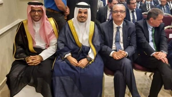 السفير المصري لدى