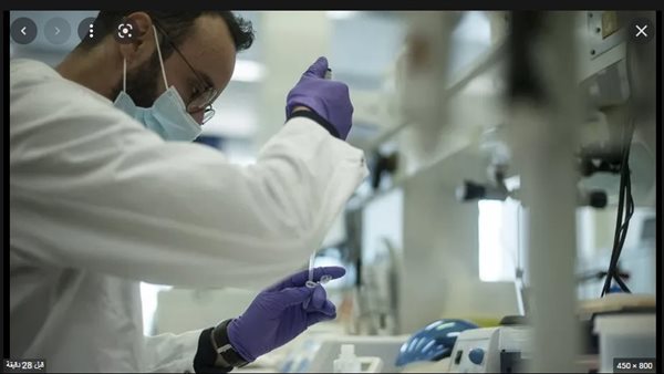 اكتشاف أنواع من البكتيريا