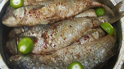 الفسيخ بـ 160 والسردين بـ 45 جنيها.. إقبال المواطنين على شراء الأسماك المملحة بالغربية | بث مباشر