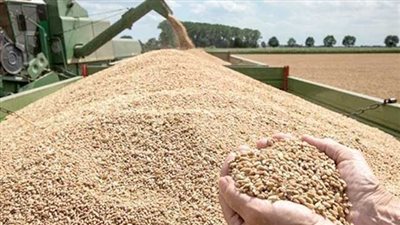 وزير التموين: مصادرة أي سيارة تنقل قمح من محافظة إلى أخرى دون تصريح