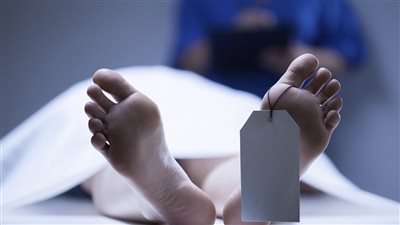 شخص يقتل شقيقه بأسوان بسبب خلافات عائلية 