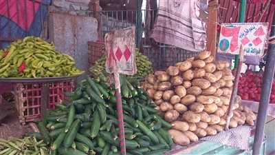 بائع خضار بأسيوط: عداية الطماطم بـ 350 جنيهًا