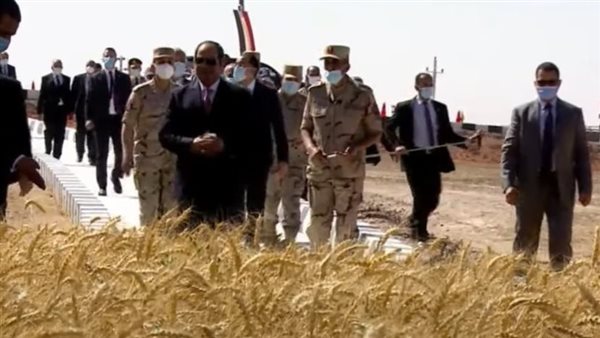 مشروعات زراعية 