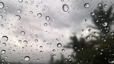 أمطار وهبوب رياح.. الأرصاد تكشف حالة الطقس غدا الخميس | بث مباشر 