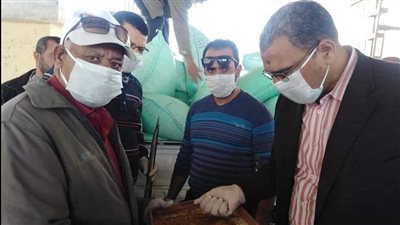 توريد 100 طن قمح للشون والصوامع الحكومية في بورسعيد