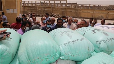 وزير الزراعة: الدولة تراهن على وطنية الفلاح المصري بشأن توريد القمح