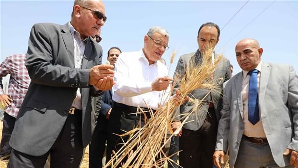 محافظ المنيا